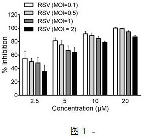 Polycyclic benzodifuran compound and application thereof as anti-RSV drug