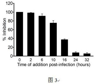 Polycyclic benzodifuran compound and application thereof as anti-RSV drug