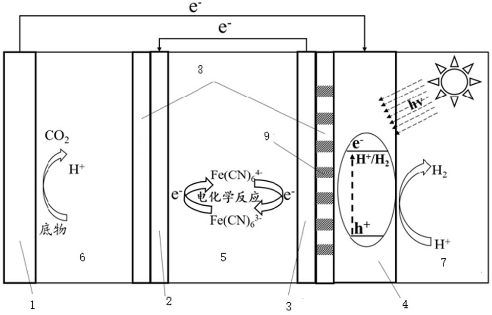 Microorganism-photoelectrochemistry-thermoelectrochemistry coupling hydrogen production system