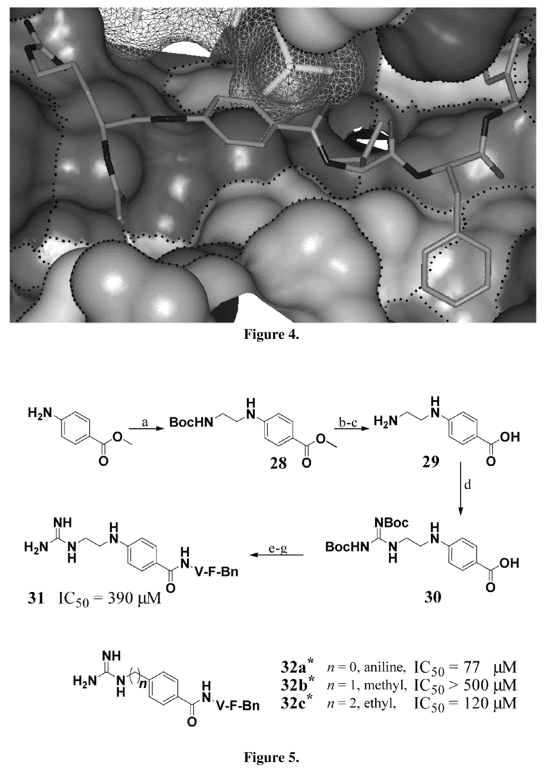 Substrate-mimetic Akt inhibitor