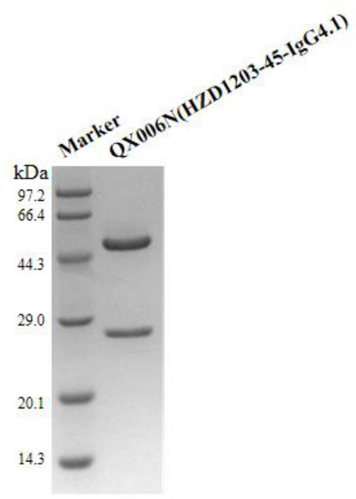 Anti-human interferon alpha receptor 1 monoclonal antibody and application thereof