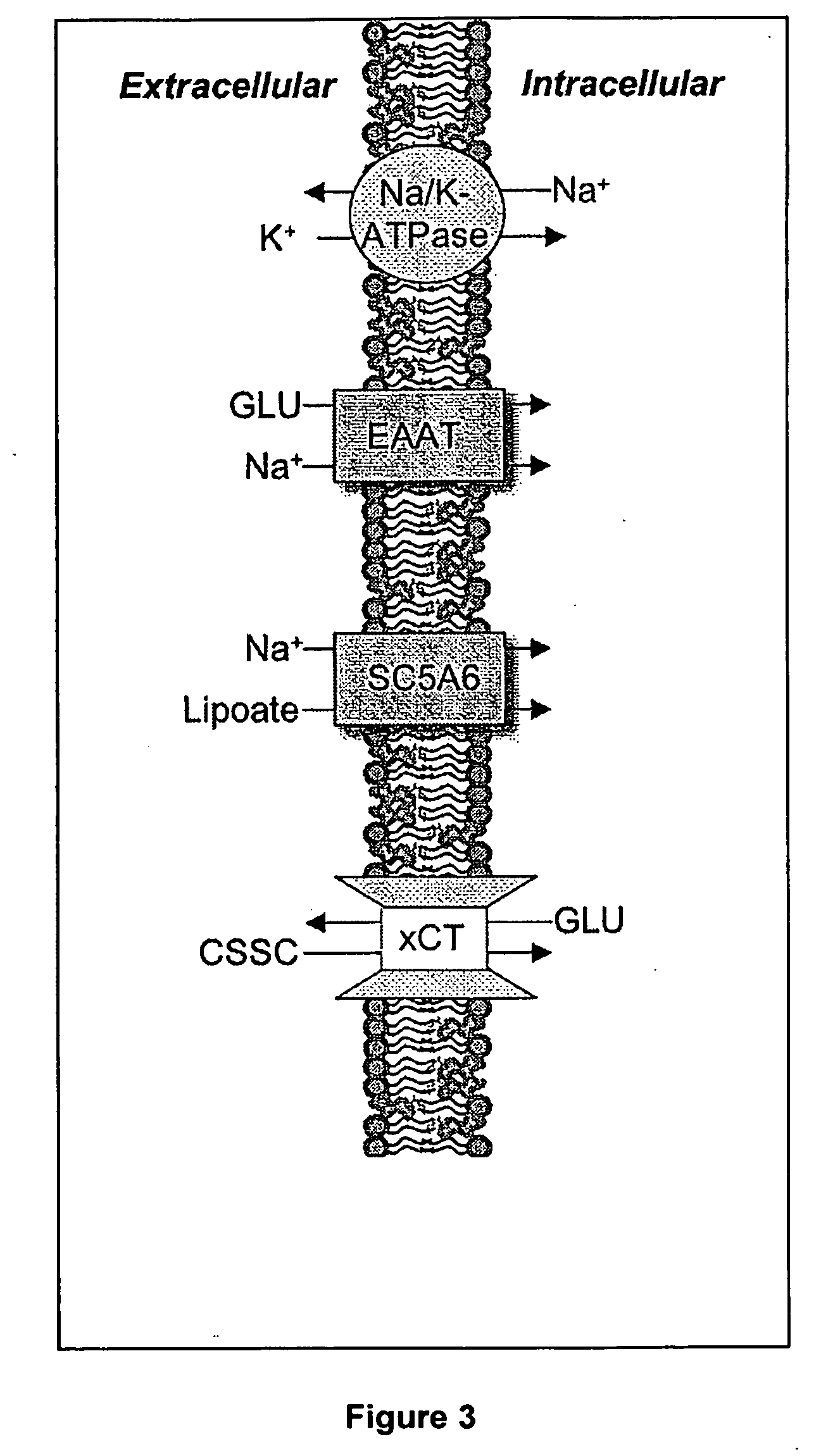 Mercaptan and seleno-mercaptan compounds and methods of using them