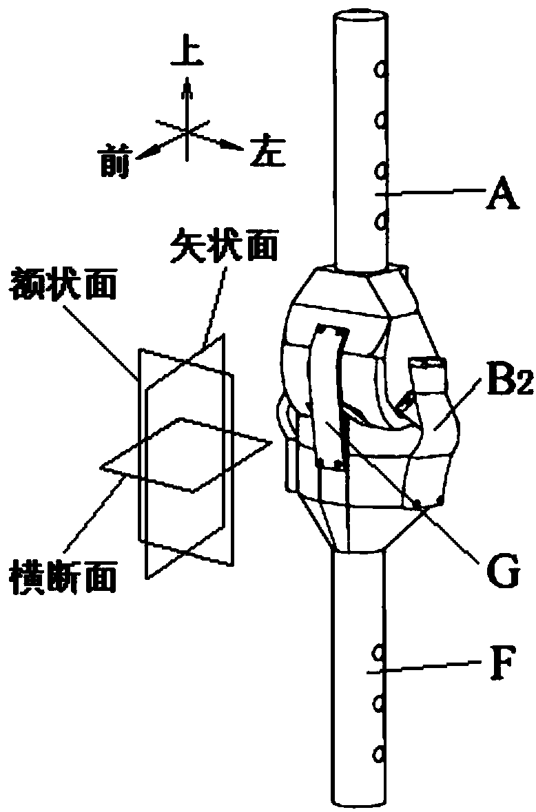 Flexible anti-impact bionic pulled and pressed body knee joint