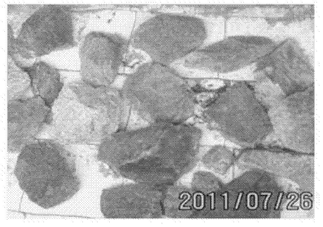 Method for planting salvia officinalis in hardness adherance