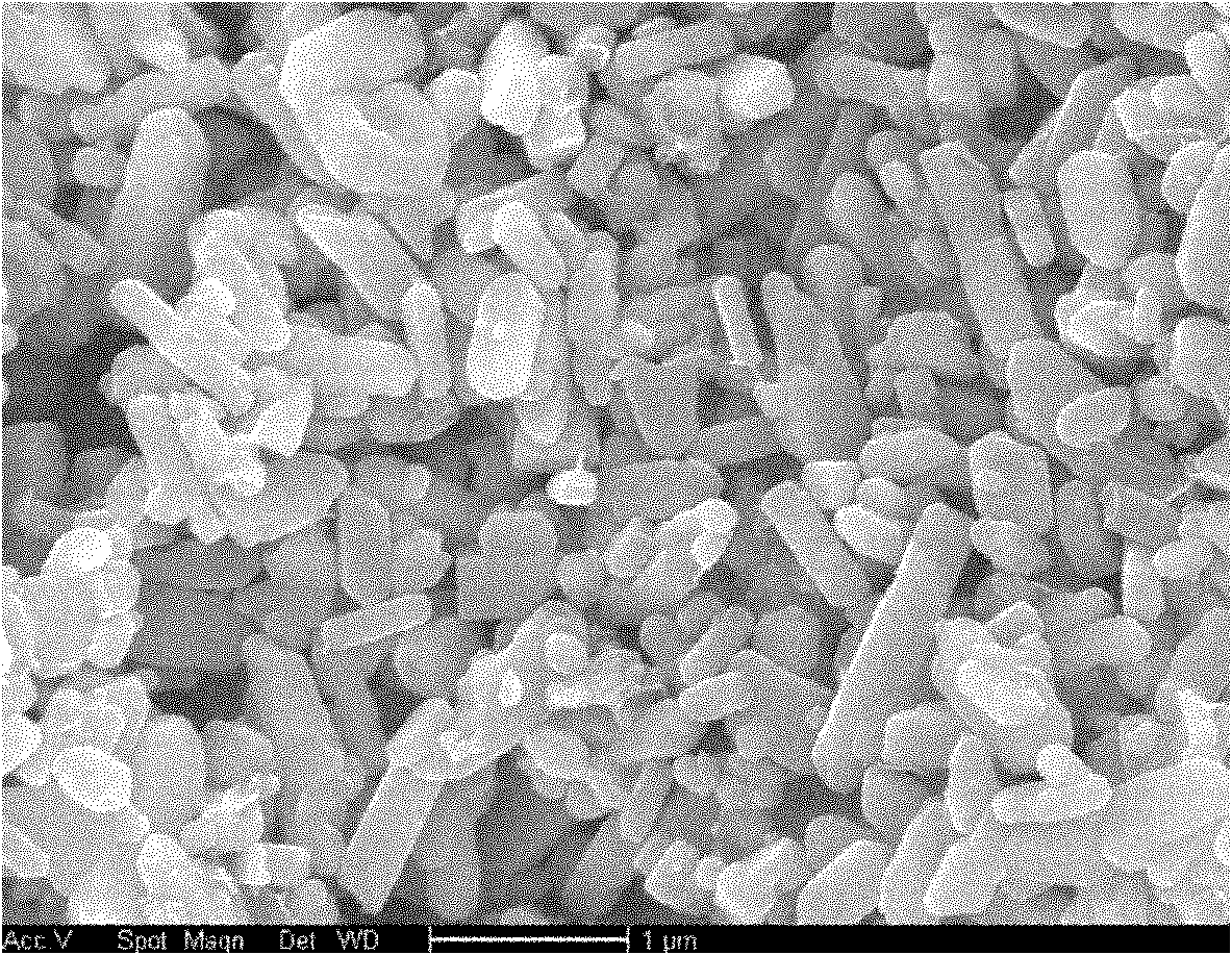 Method for preparing lithium iron phosphate compound anode material