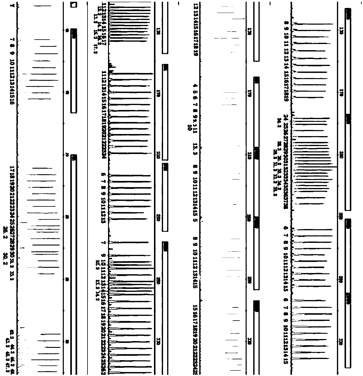 Mixed polymer solution for capillary electrophoresis and method for preparing mixed polymer solution