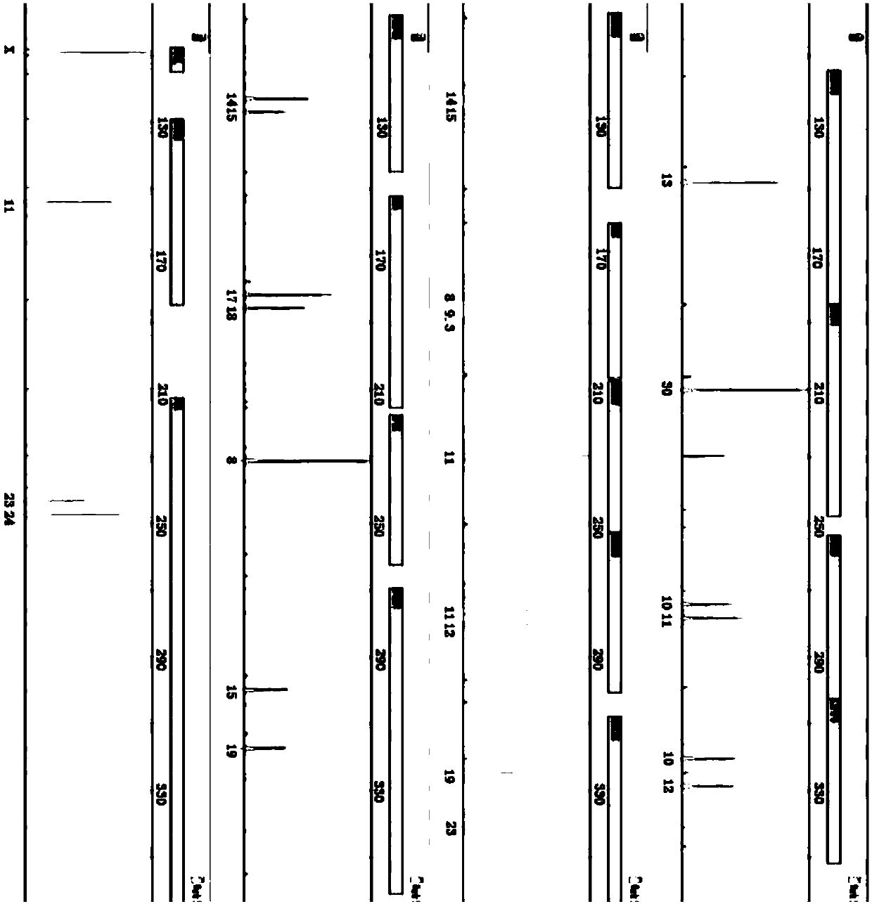 Mixed polymer solution for capillary electrophoresis and method for preparing mixed polymer solution