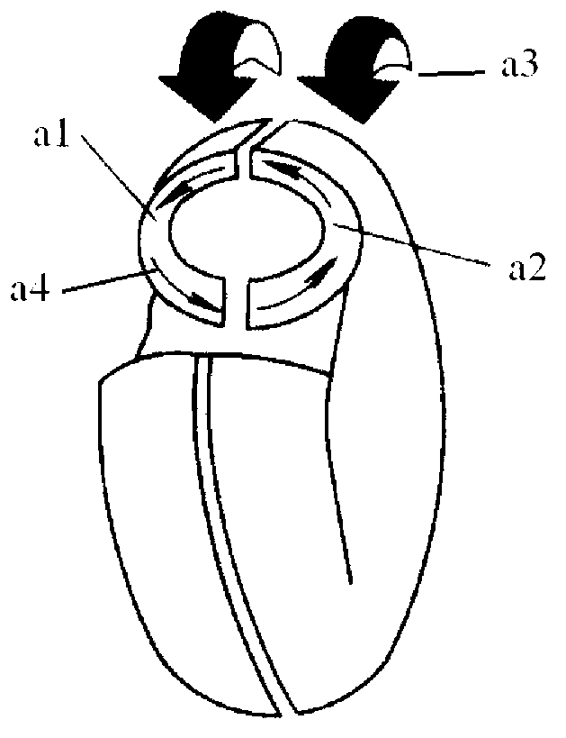 Hydrodynamic retarder