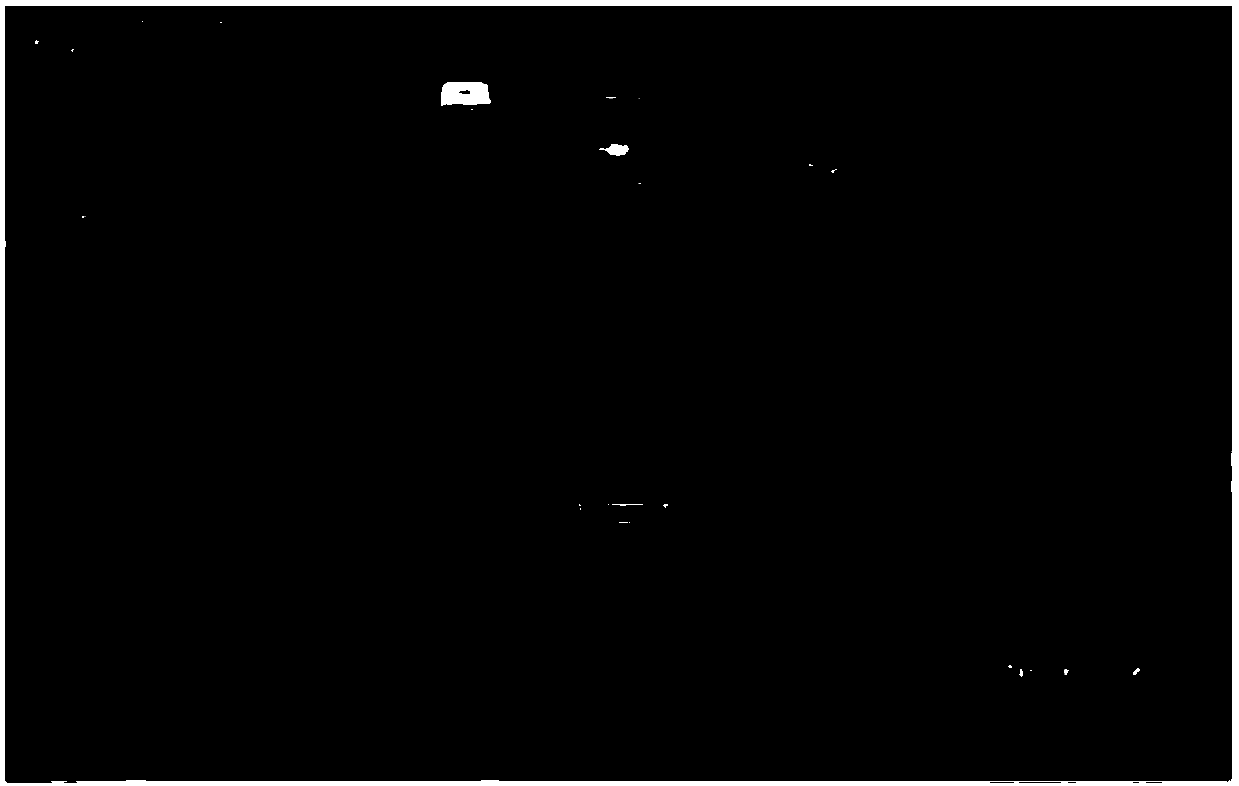 Video based movement target detecting method