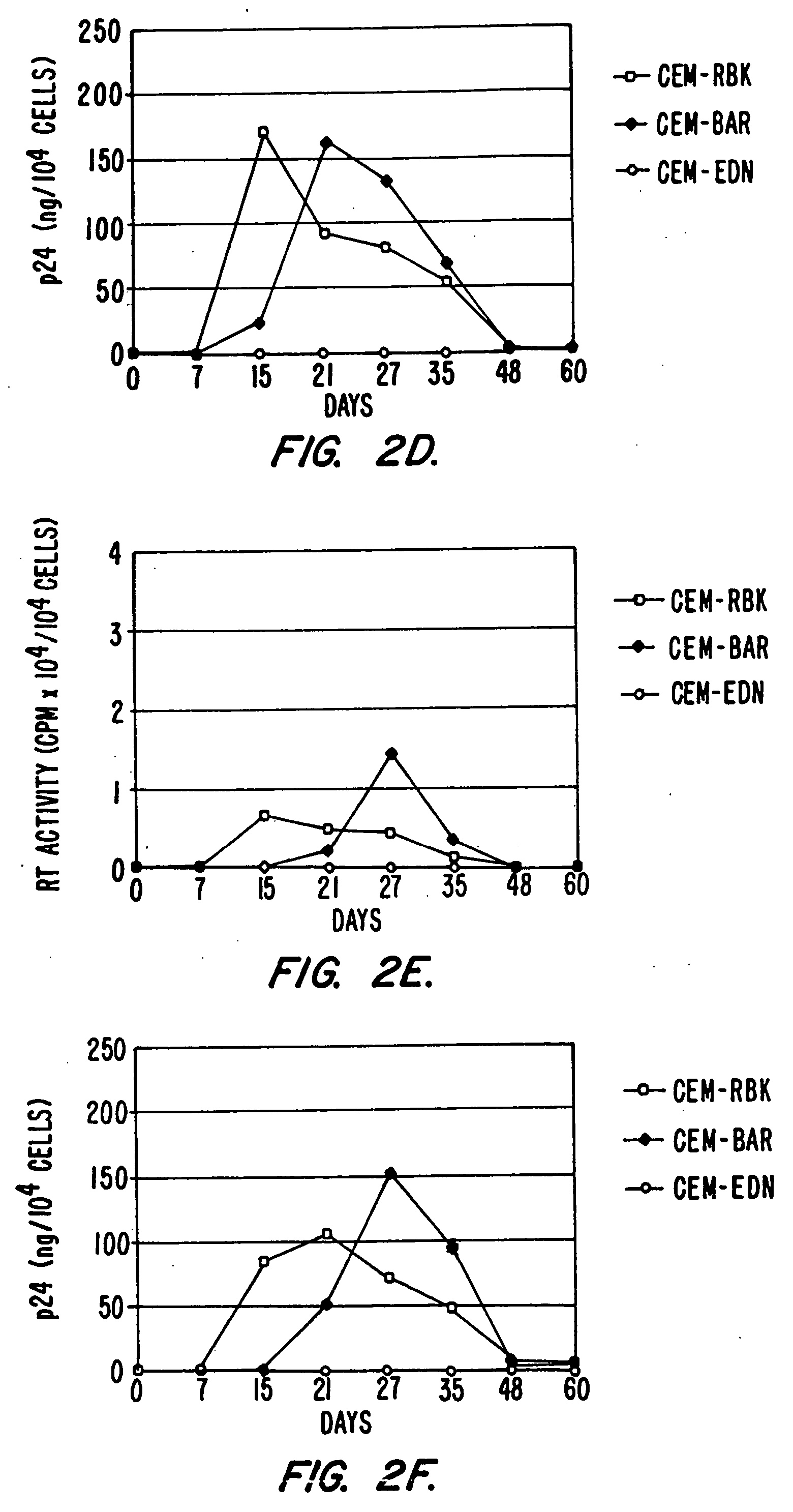 Vectors for delivering viral and oncogenic inhibitors