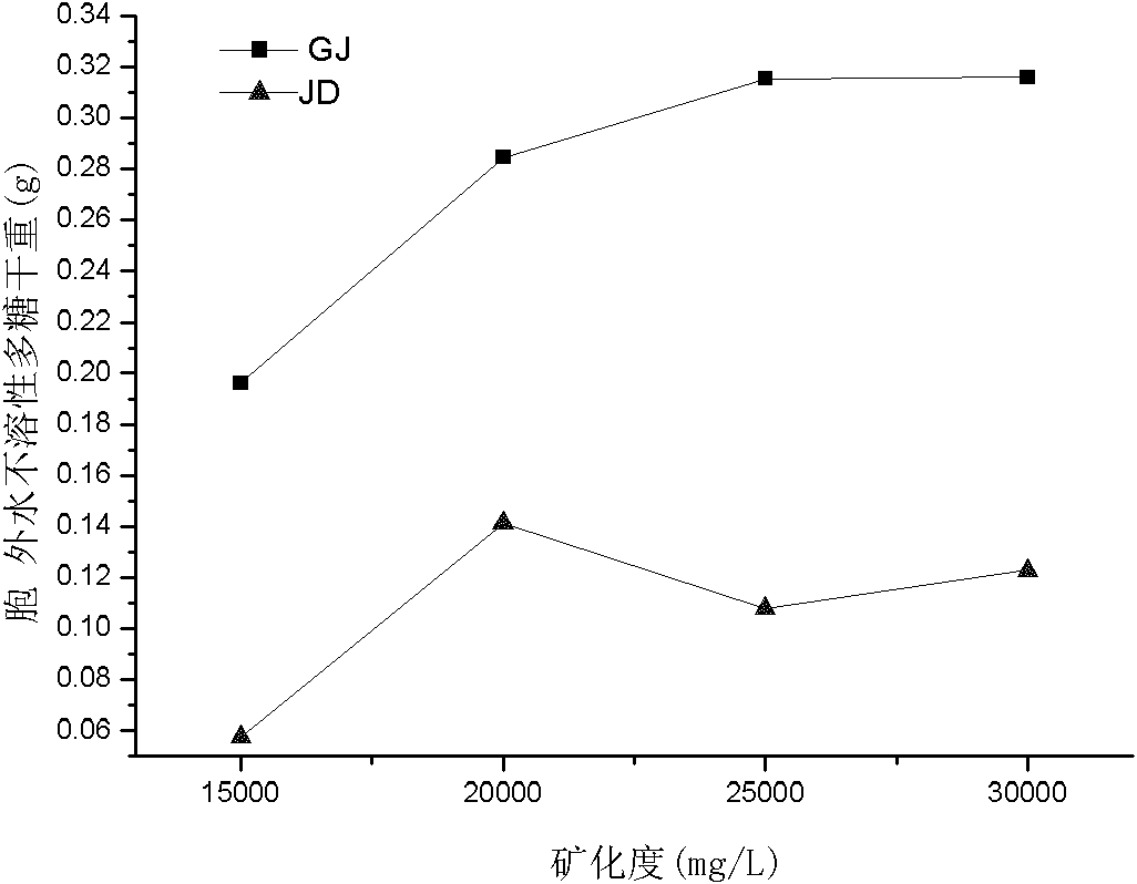 High-temperature-resistant gene engineering bacterium for producing extracellular water-insoluble polysaccharide and application thereof