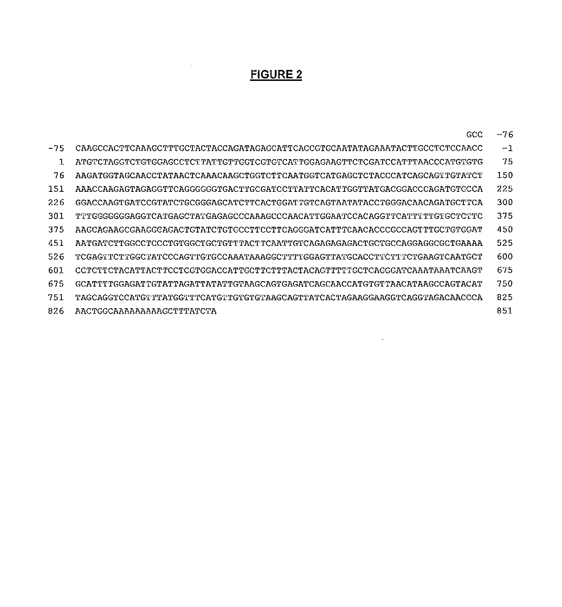 Method of repressing flowering in a plant