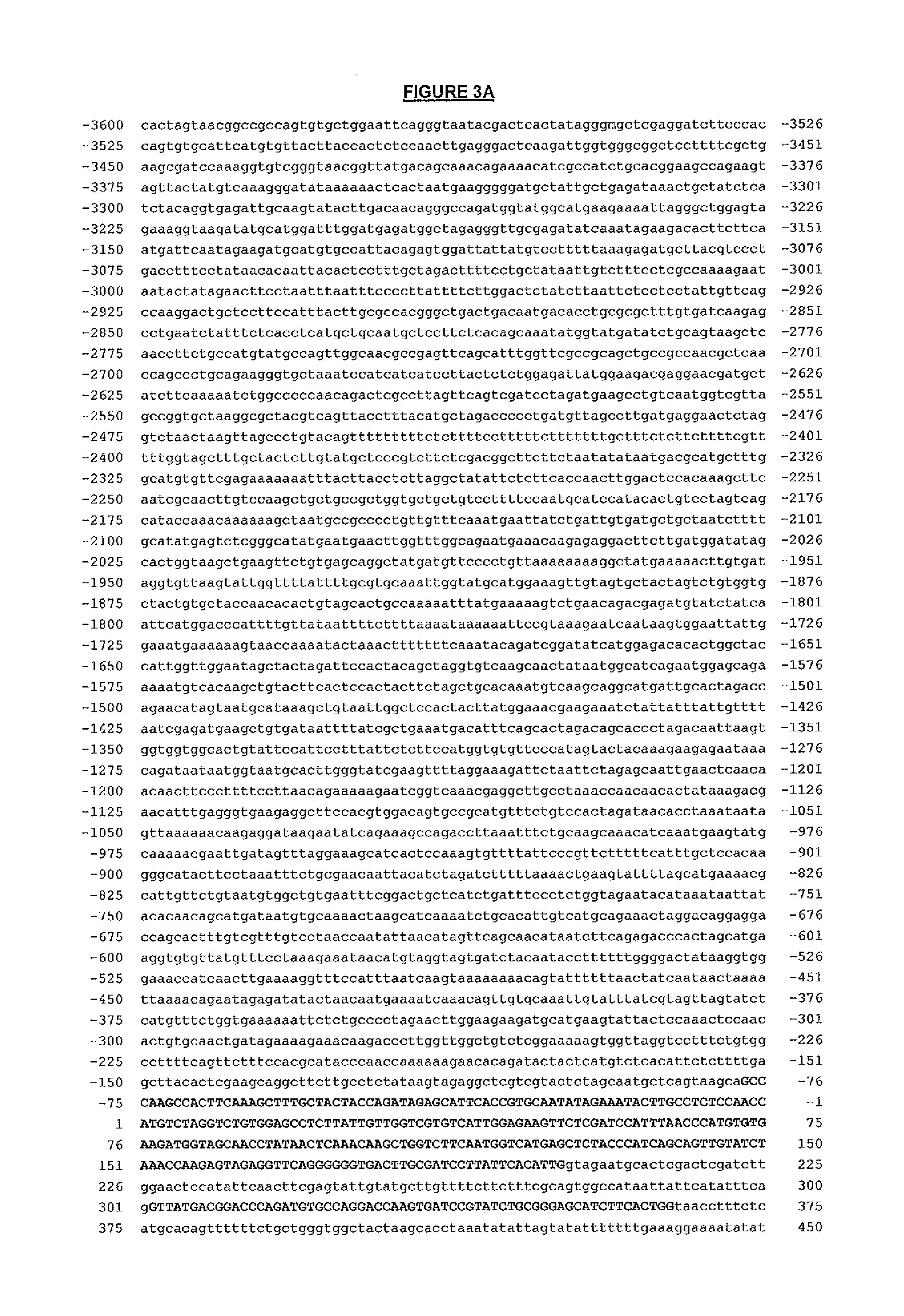 Method of repressing flowering in a plant