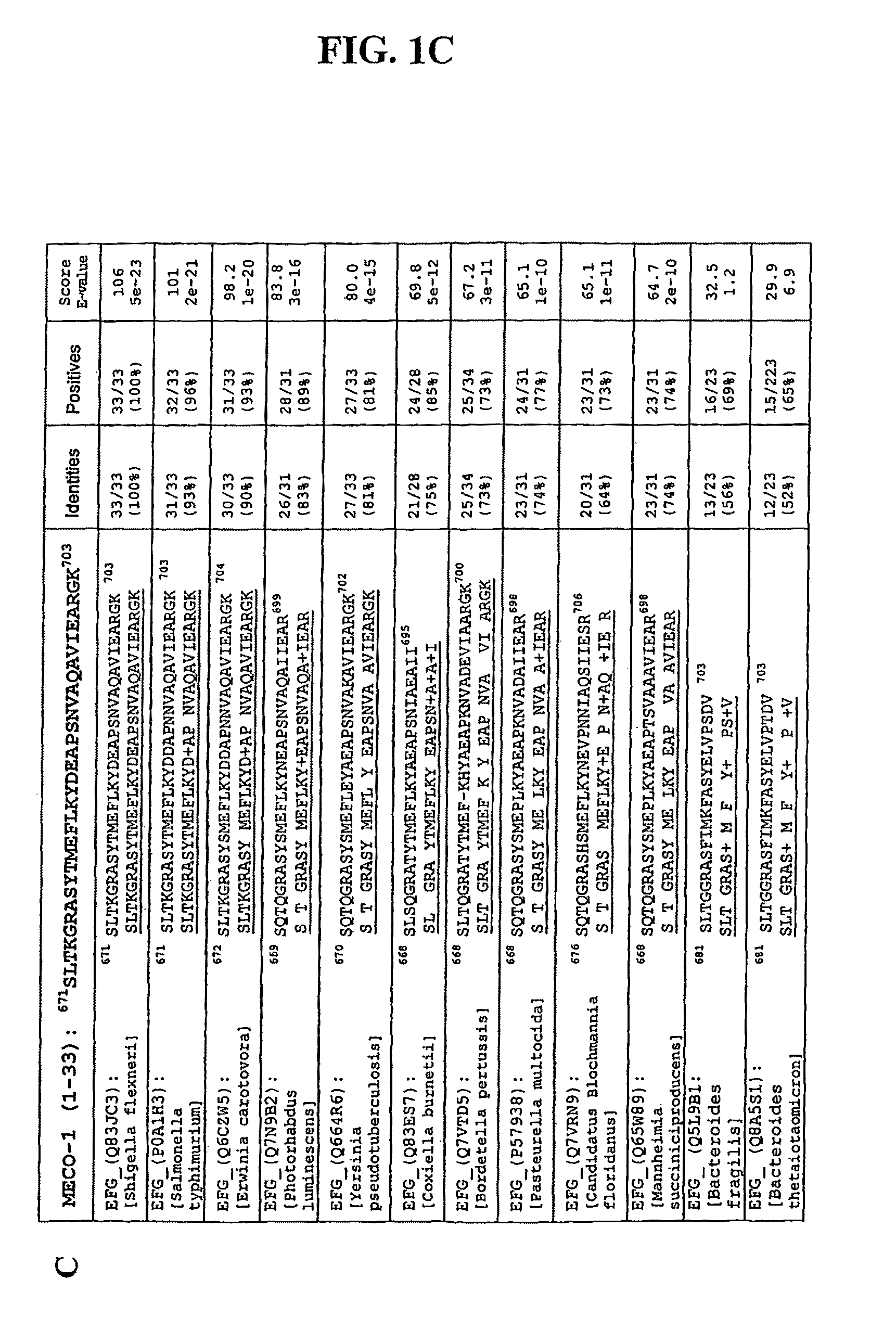 Peptide mimics of melanocyte stimulating hormone