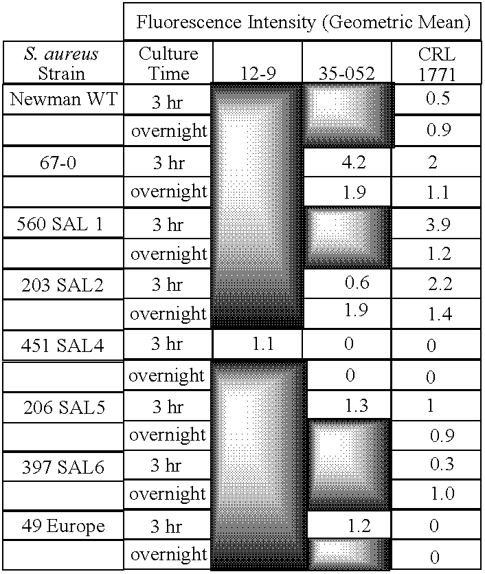 Monoclonal antibodies to the ClfA protein and method of use in treating or preventing infections