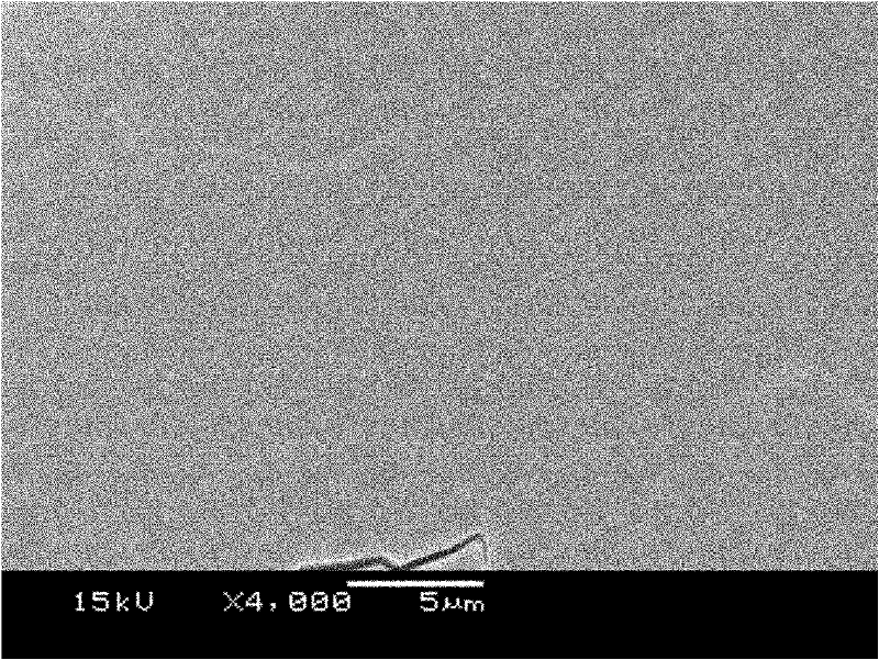 Treatment method of improving oxidation resistance of thermal barrier coating