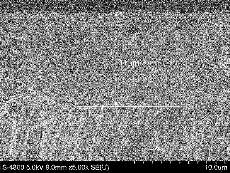 Treatment method of improving oxidation resistance of thermal barrier coating