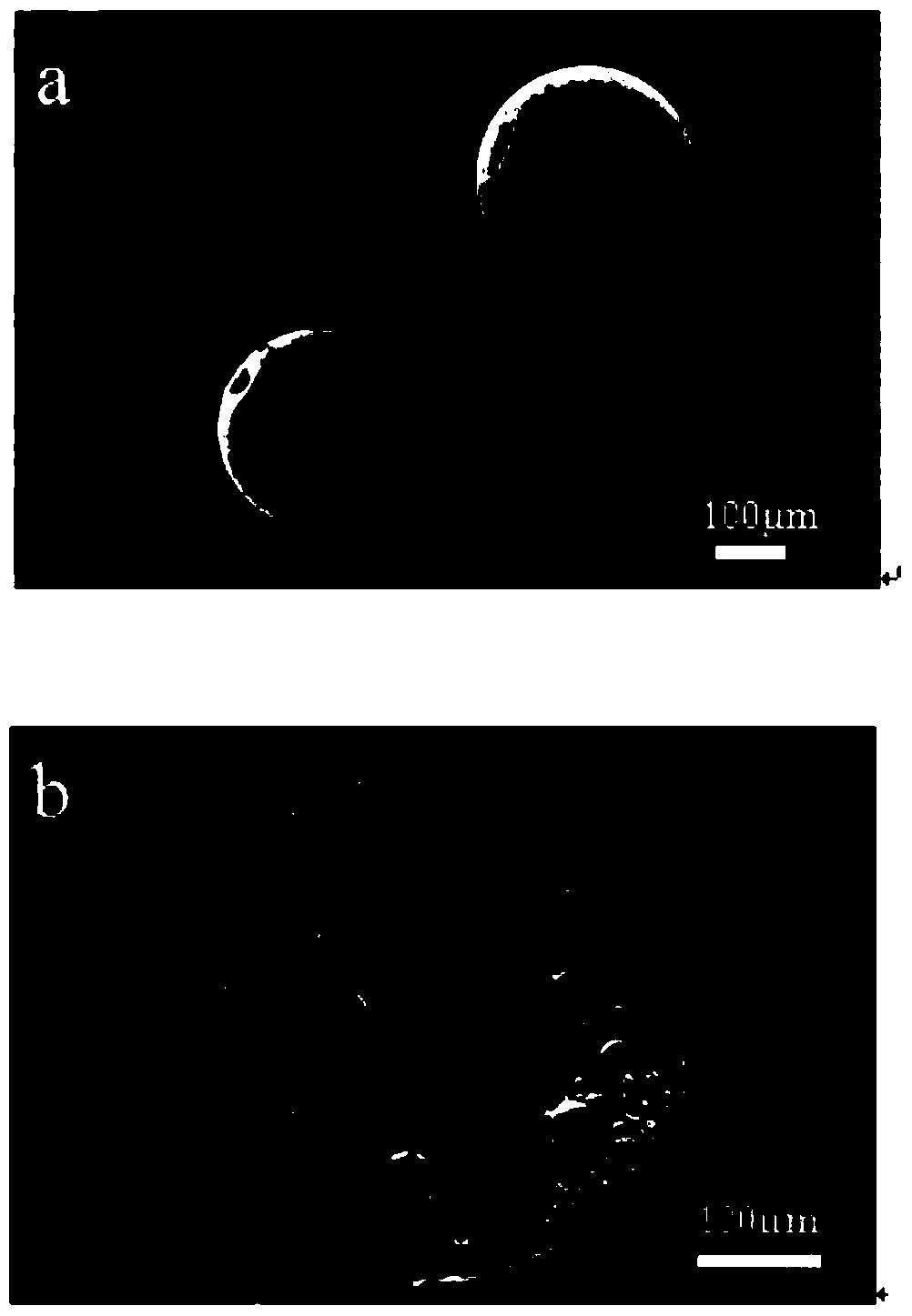 A kind of static emulsion method immobilized lipase produces the method for biodiesel