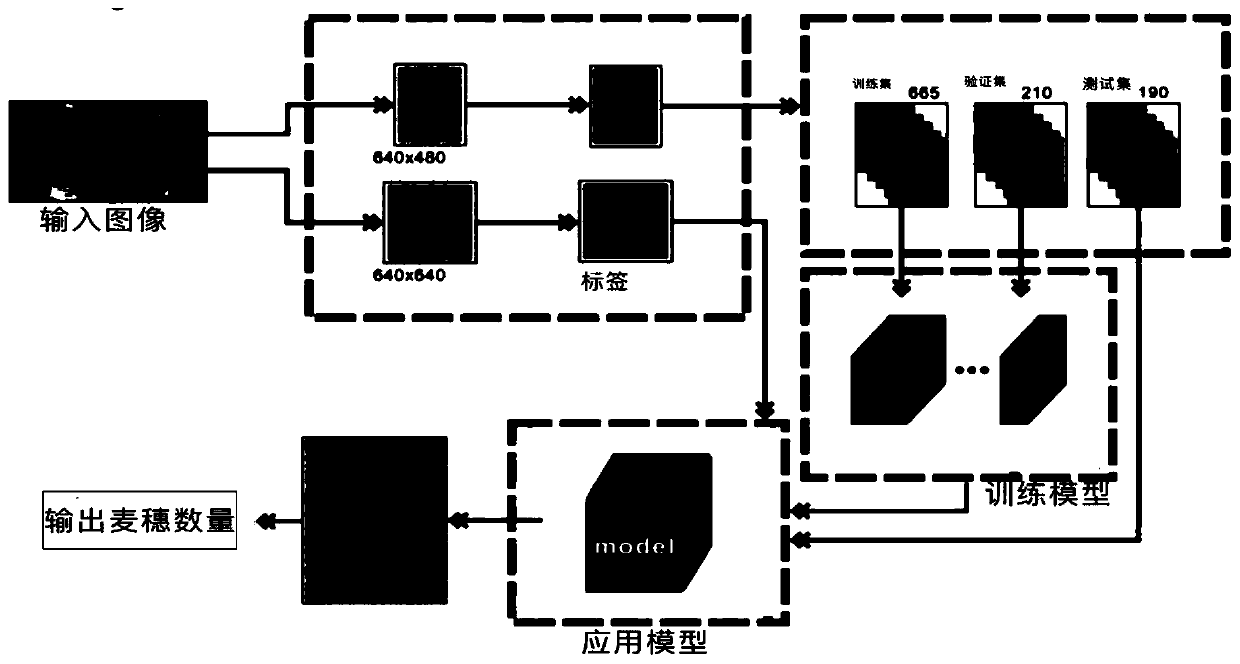 Wheat ear detection and counting method based on deep learning point supervision idea