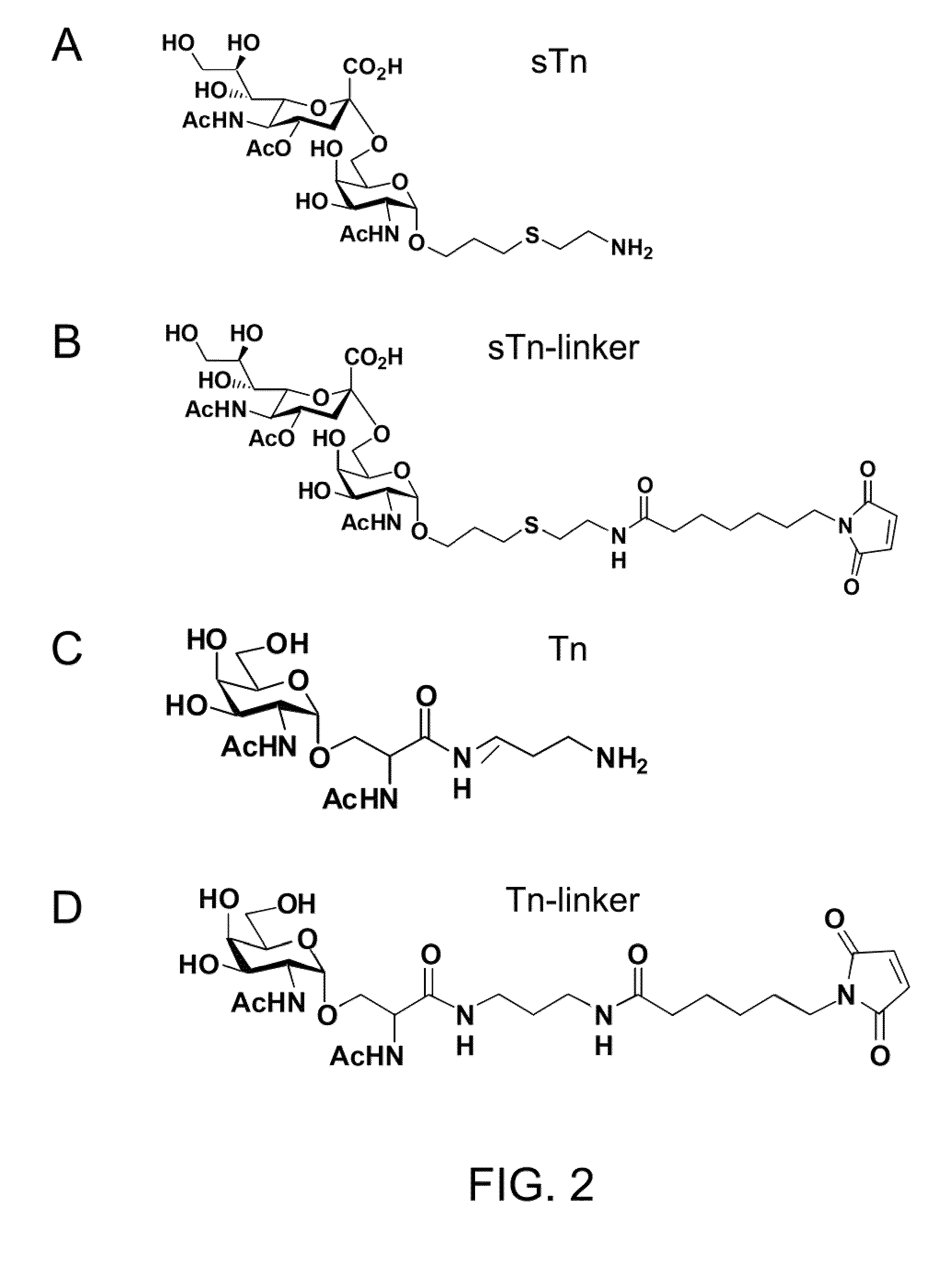 Immunogenic protein carrier containing an antigen presenting cell binding domain and a cysteine-rich domain