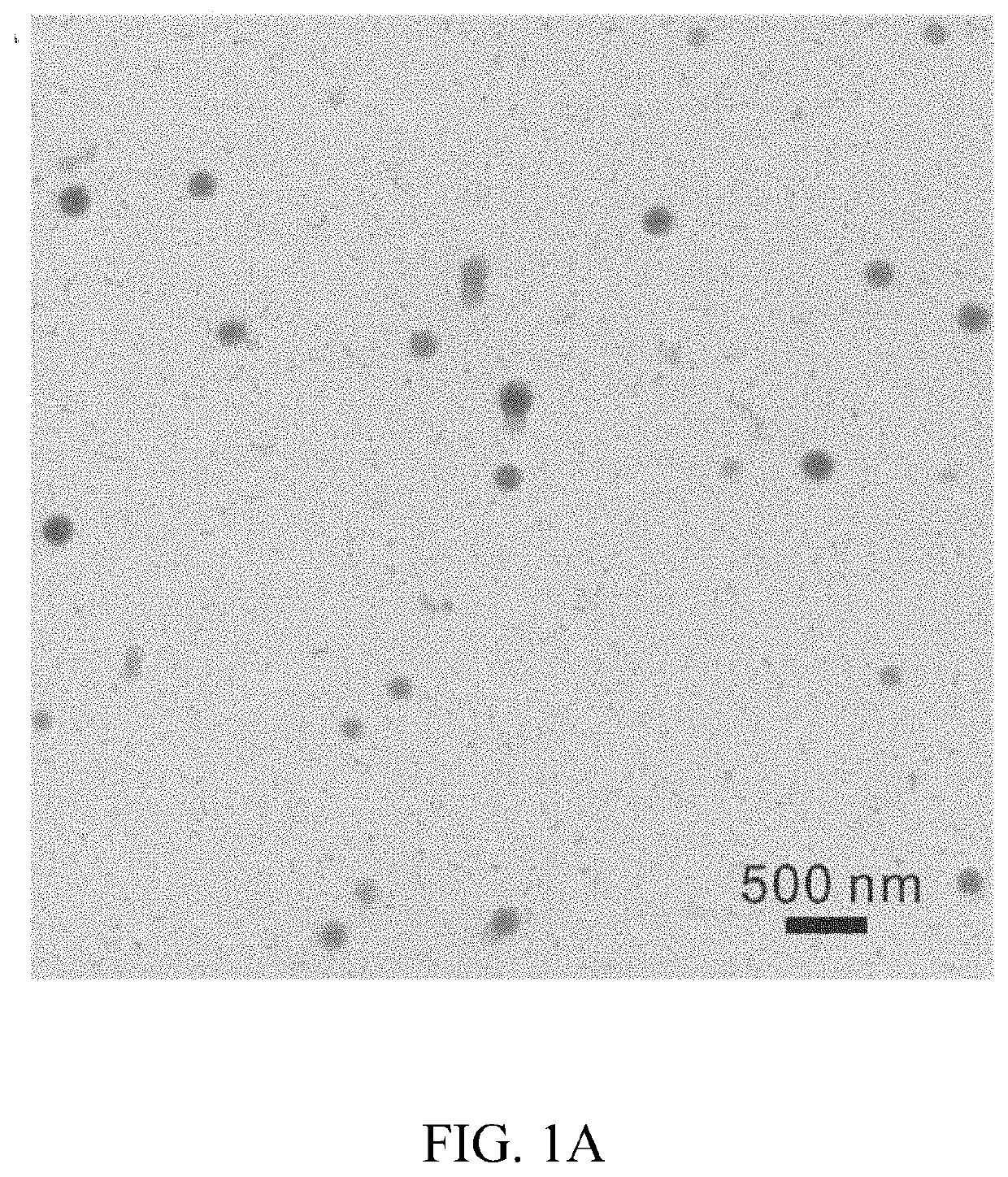 PPARa  AGONIST COMPOSITIONS AND METHODS OF USE