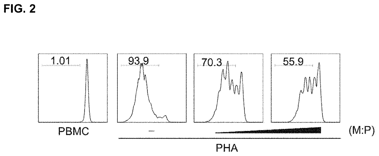 Pharmaceutical composition for preventing or treating regulatory T cell-mediated diseases