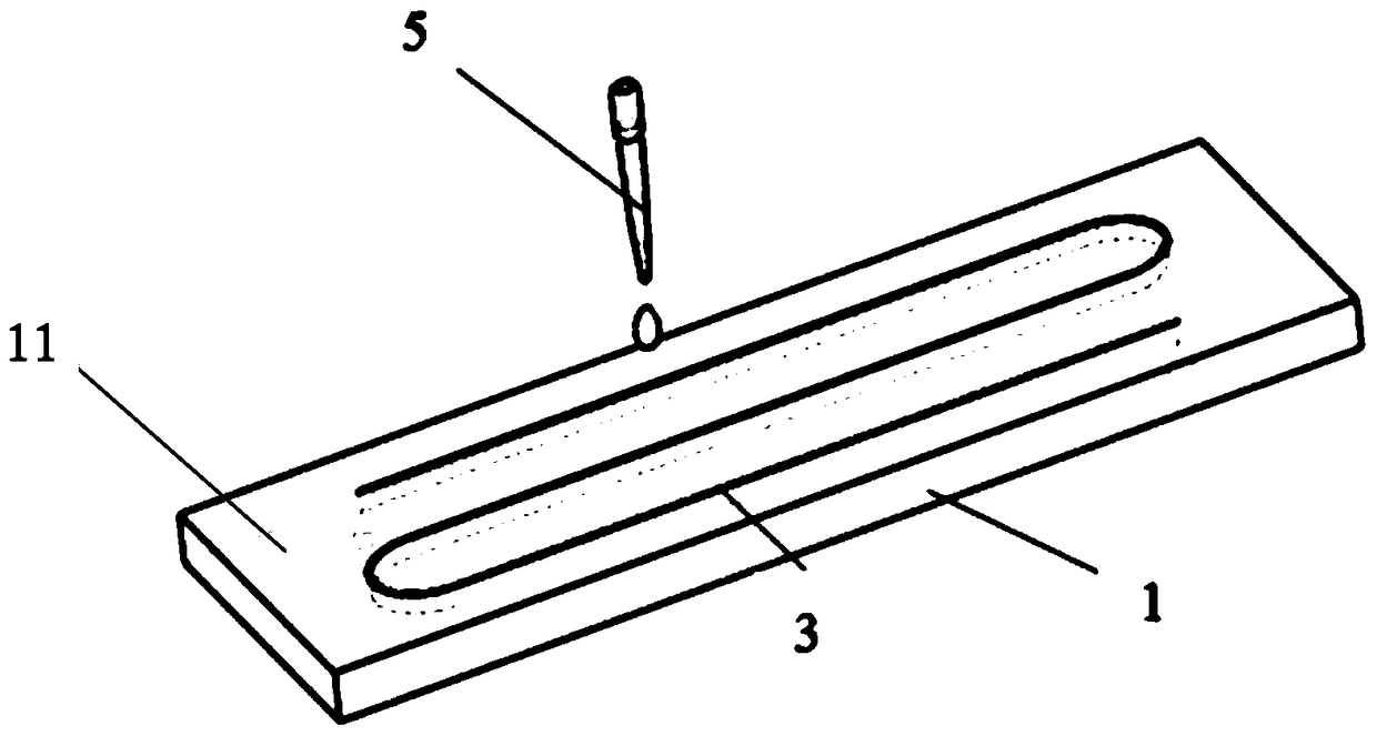 A microfluidic biochip detection device and preparation method