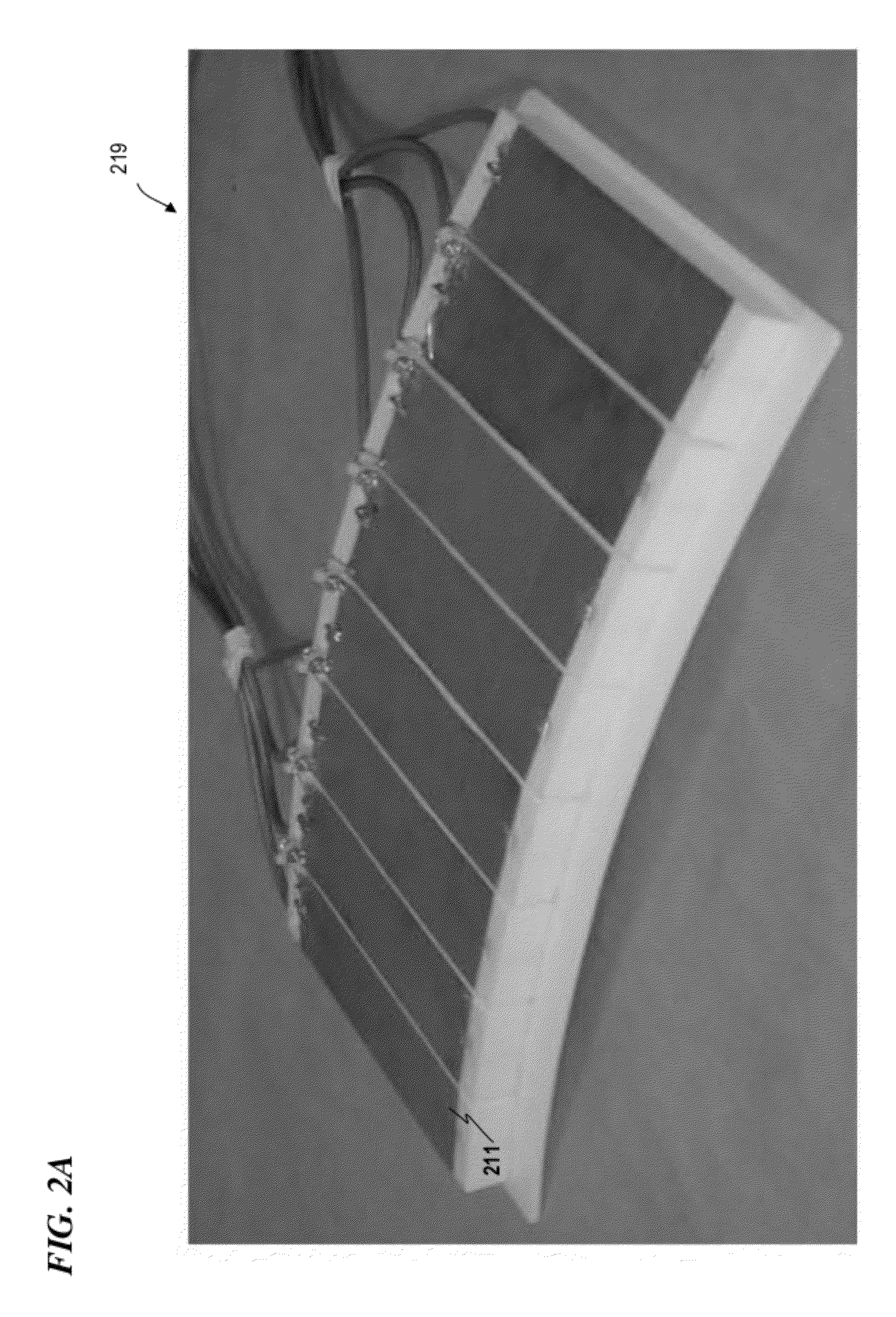 Method and coils for human whole-body imaging at 7 t