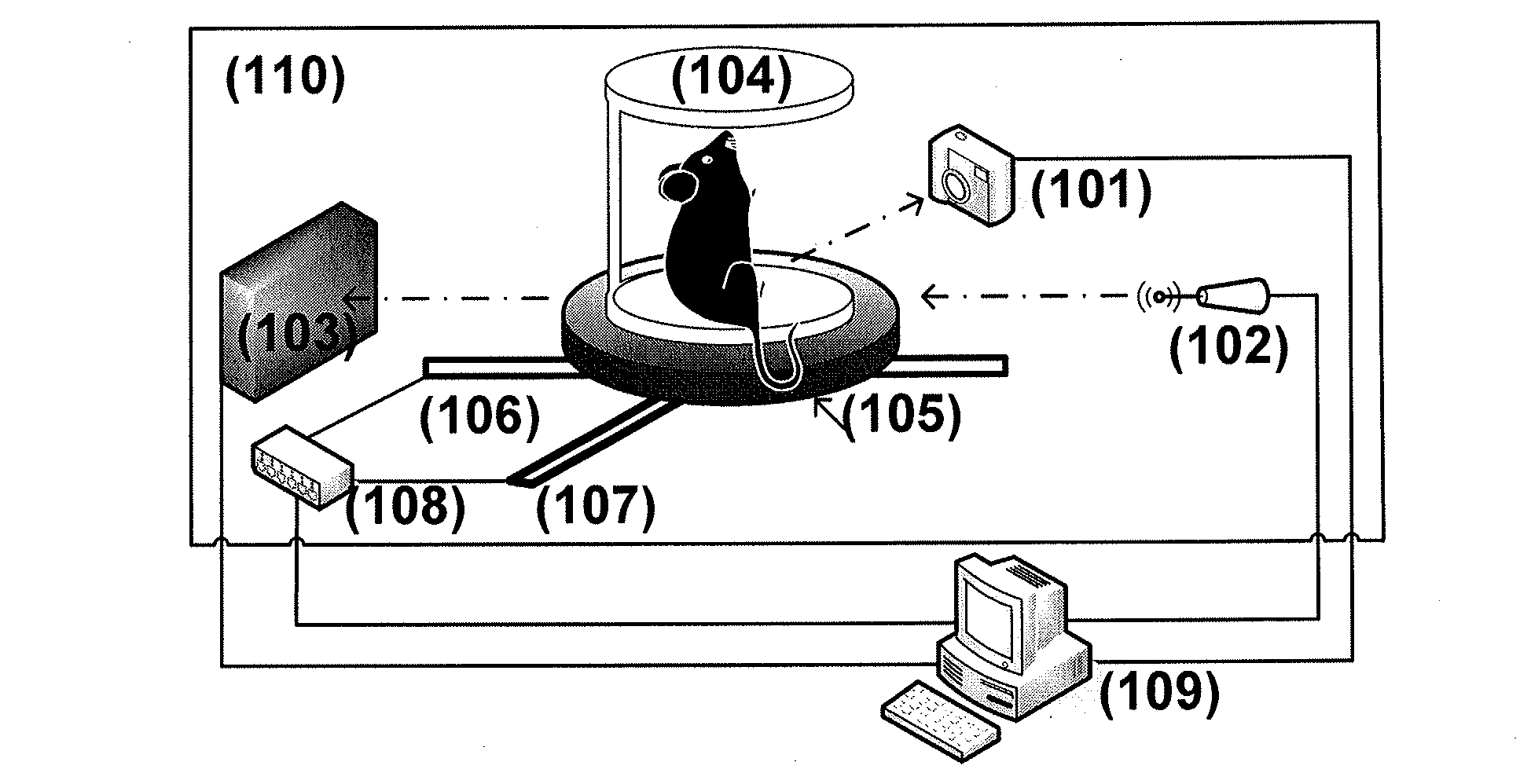 Tomography system based on cerenkov luminescence