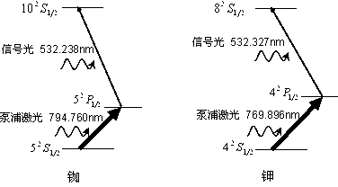 Excited state atom filter receiving device for pumping laser atom frequency stabilization