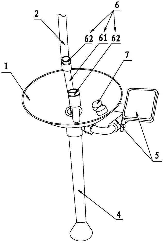 Double-headed eyewash device