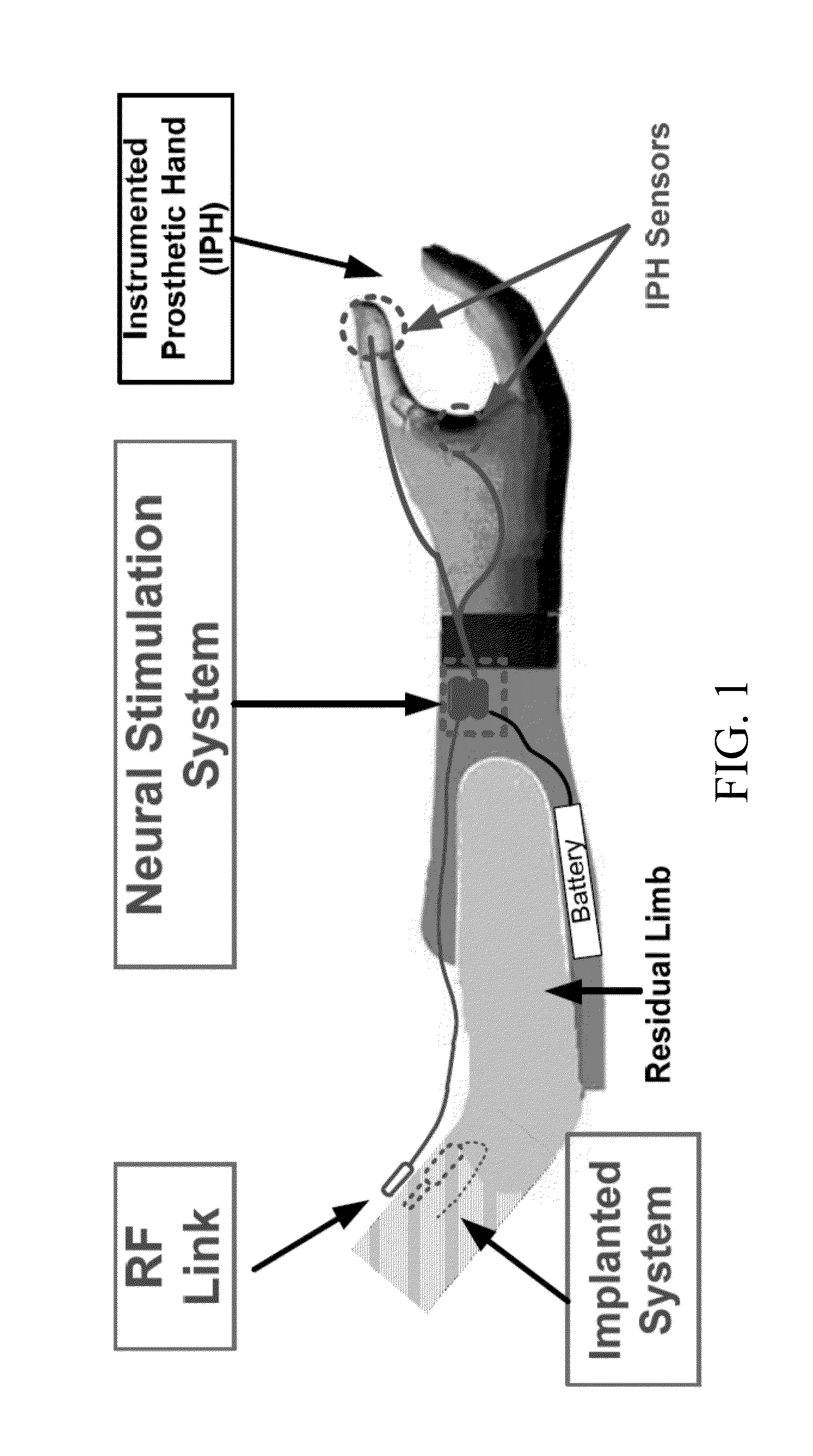 Fitting system for a neural enabled limb prosthesis system