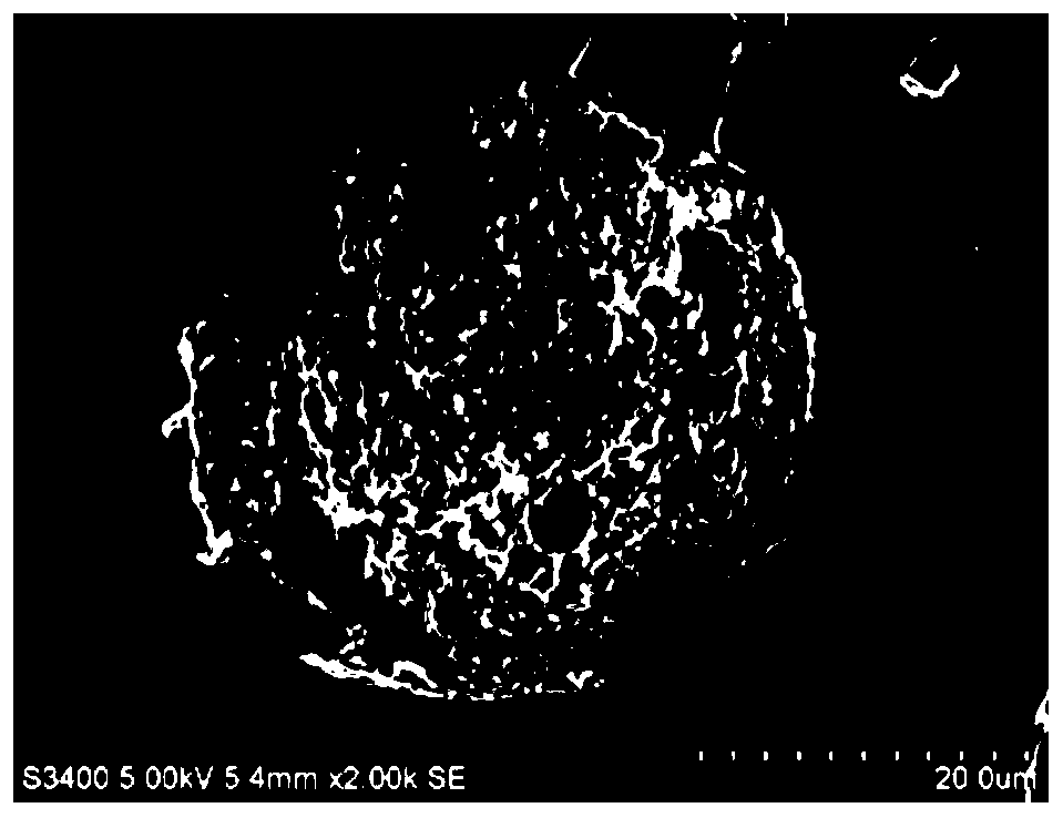 Preparation and application of biodegradable bupivacaine microspheres with high drug loading