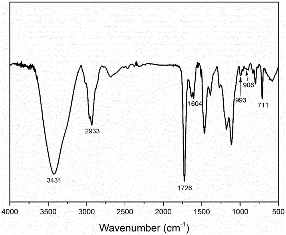 Amino-modifying interpenetrating resin adsorbent and preparing method thereof