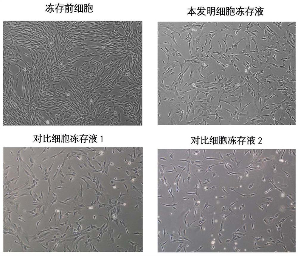 A kind of protein-free, DMSO-free cell cryopreservation medium, application and preparation method thereof