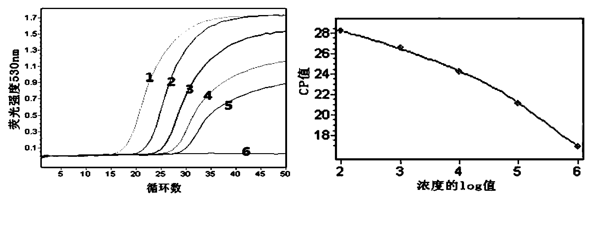 Duplex fluorescent quantitation RT-PCR (Reverse Transcription-Polymerase Chain Reaction) detection kit for shellfish Bonamia and Perkinsus