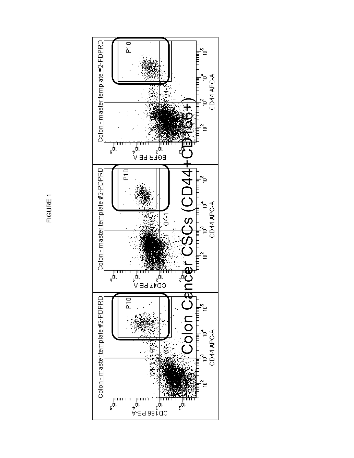 Treatment of cancer with dual targeting of cd47 and EGFR