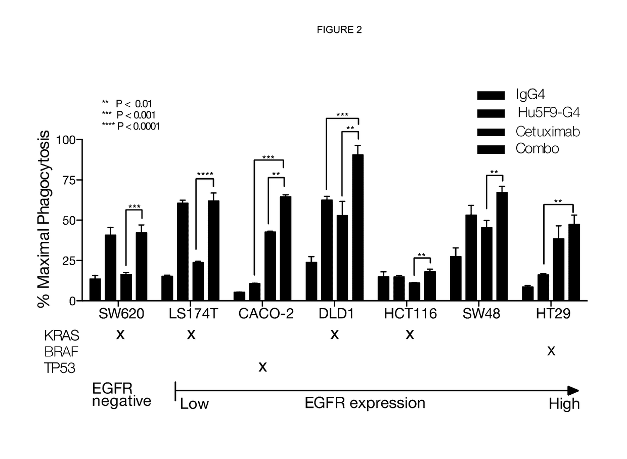 Treatment of cancer with dual targeting of cd47 and EGFR