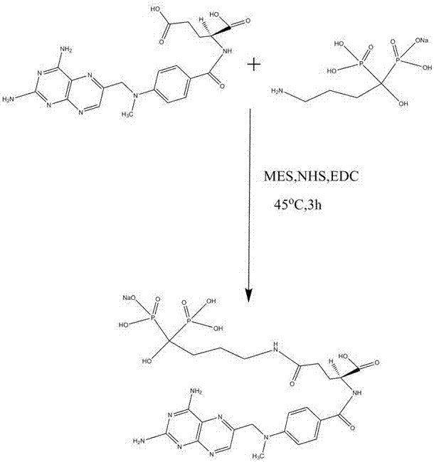 Preparation method of methotrexate and alendronate sodium conjugate