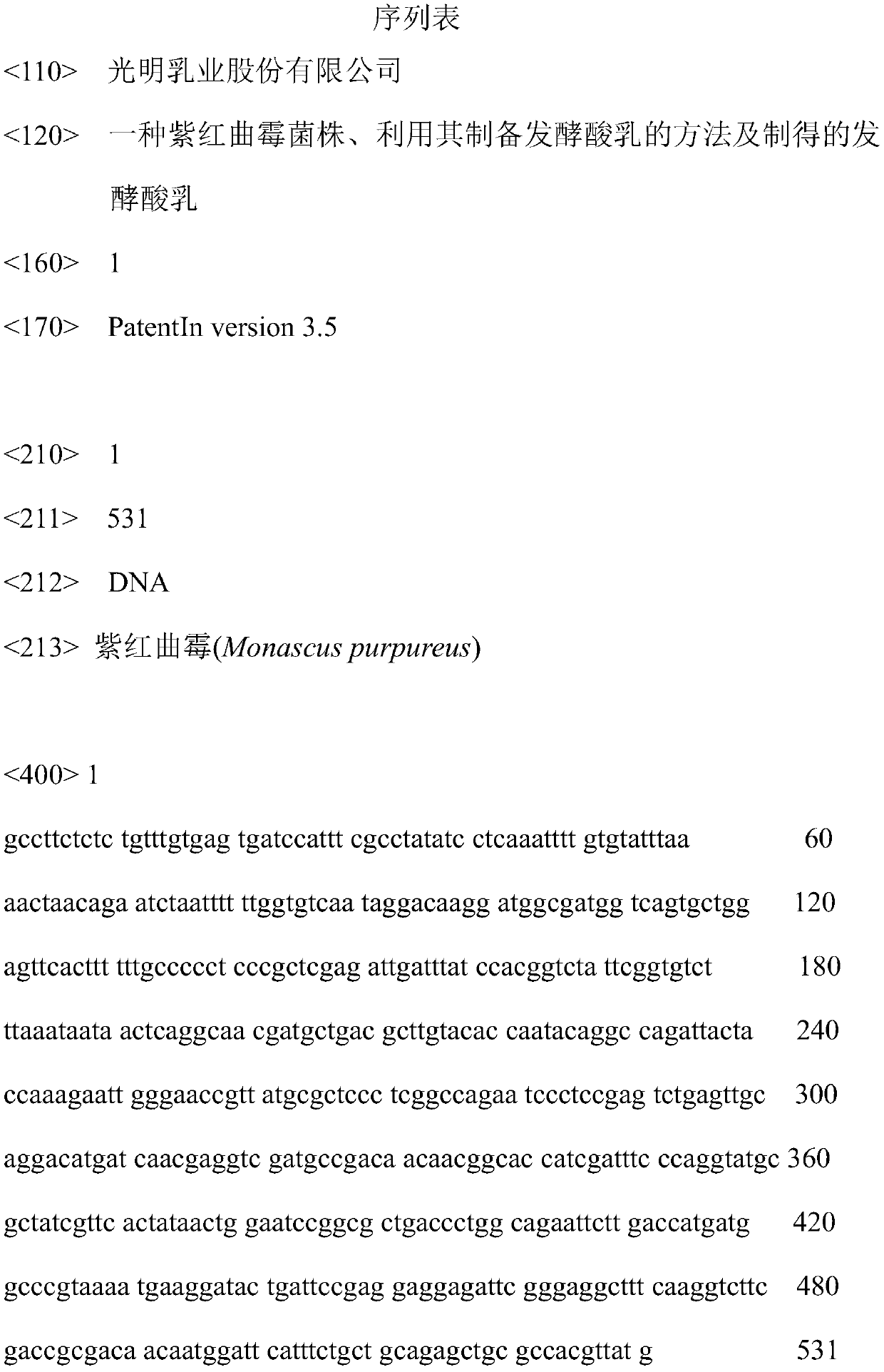 A kind of Monascus purpura strain, method for preparing fermented yogurt by using it, and fermented yogurt prepared