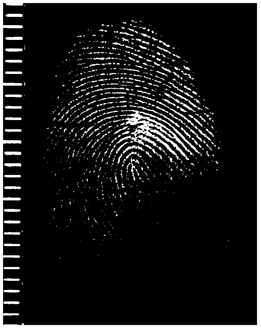 A kind of tio2/c enhanced fingerprint display magnetic powder and its preparation method and application