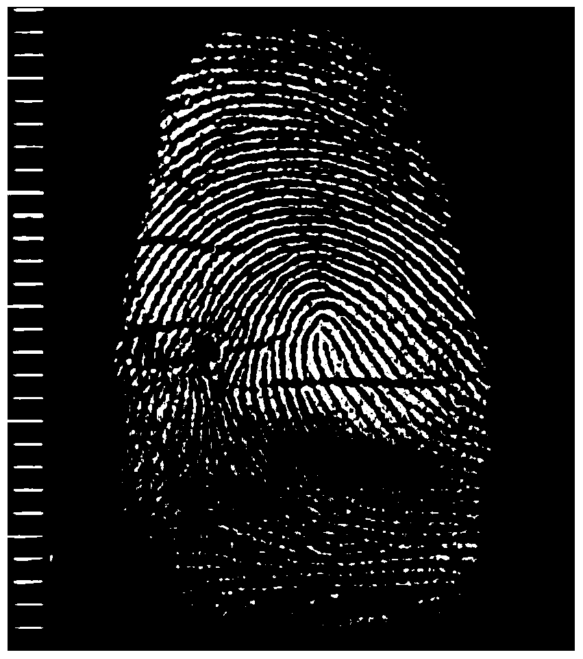 A kind of tio2/c enhanced fingerprint display magnetic powder and its preparation method and application