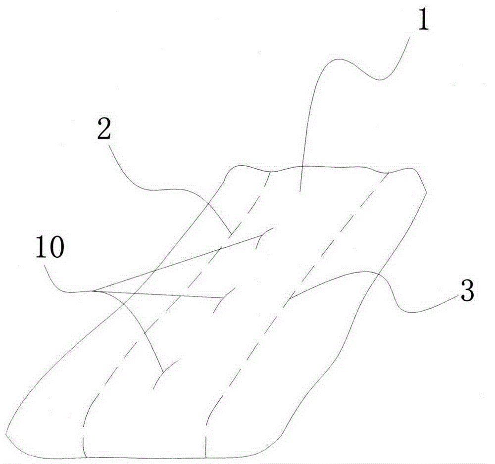 Cinnamomum camphor health-care pad core and related product prepared by same