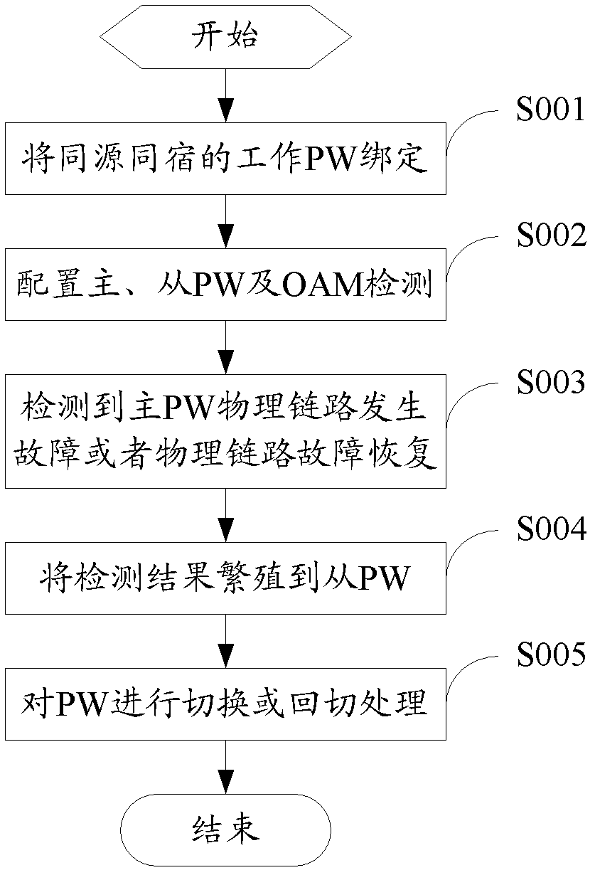 PE (provider edge router) and protection method of homologous homoclinic PWs (pseudo wires)