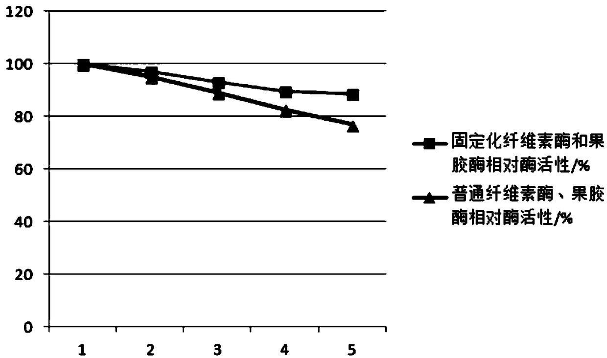 Enzymatic method for removing seed coats of walnut kernels in combination with infrared drying