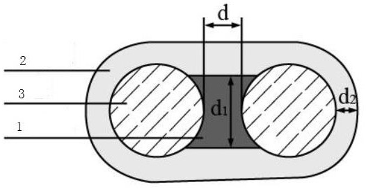 Double-coated electrode and preparation method thereof