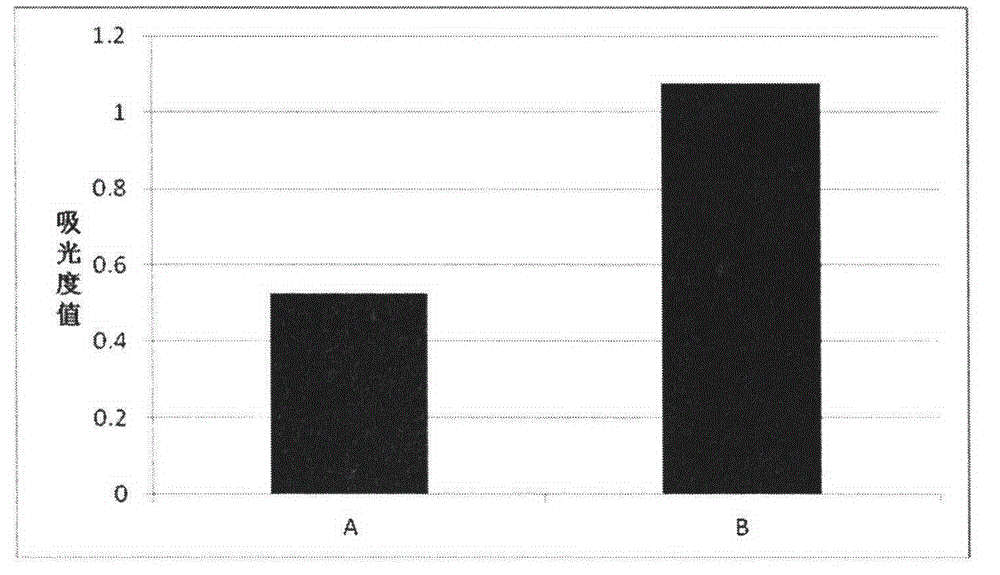 T lymphocyte culture medium without any animal original or human original component and preparation method thereof