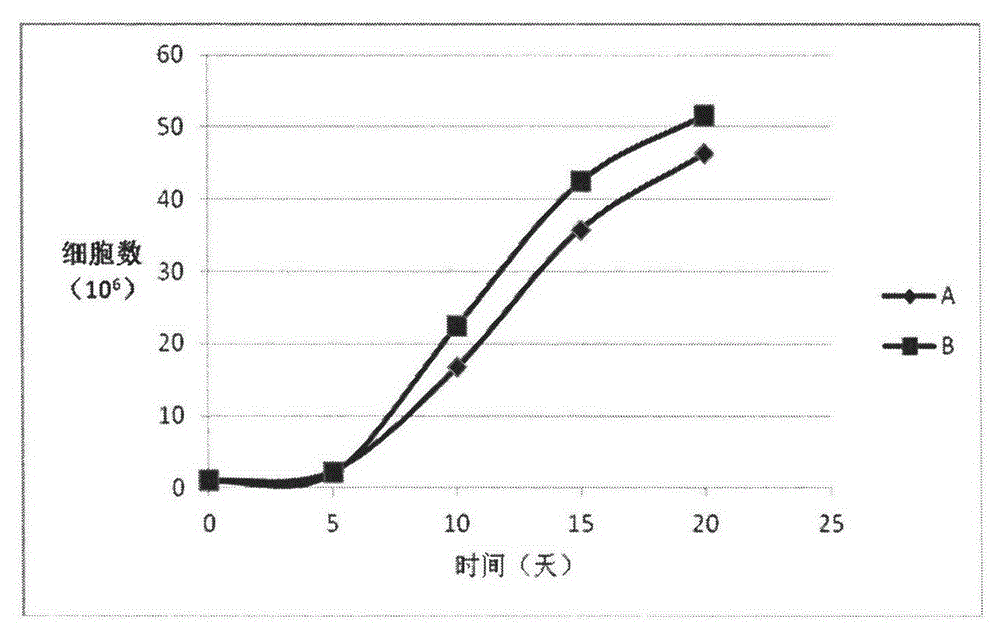 T lymphocyte culture medium without any animal original or human original component and preparation method thereof