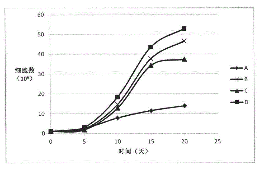 T lymphocyte culture medium without any animal original or human original component and preparation method thereof