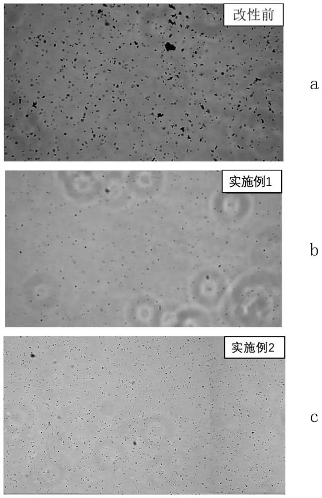 Preparation method of hydrophilic pigment